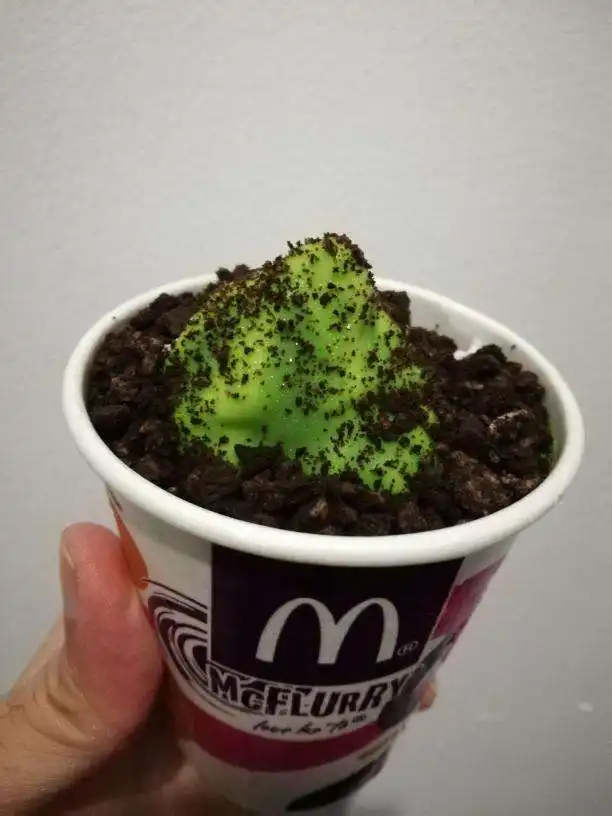 McDonald's Food Photo 19