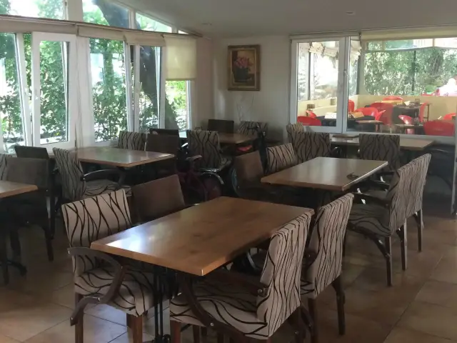 Yeşil Bahçe Cafe Restaurant'nin yemek ve ambiyans fotoğrafları 6