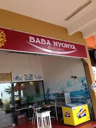 Baba Nyonya Delights