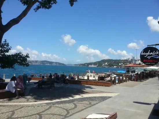 BeyBalık'nin yemek ve ambiyans fotoğrafları 4