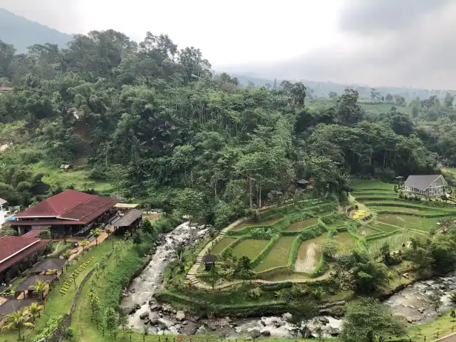 Gambar Makanan Bebek Tepi Sawah Cilloto Sahid Eminence 4