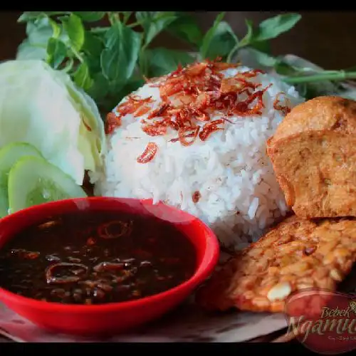 Gambar Makanan Raja Ayam Bakar, Imam Bonjol 5