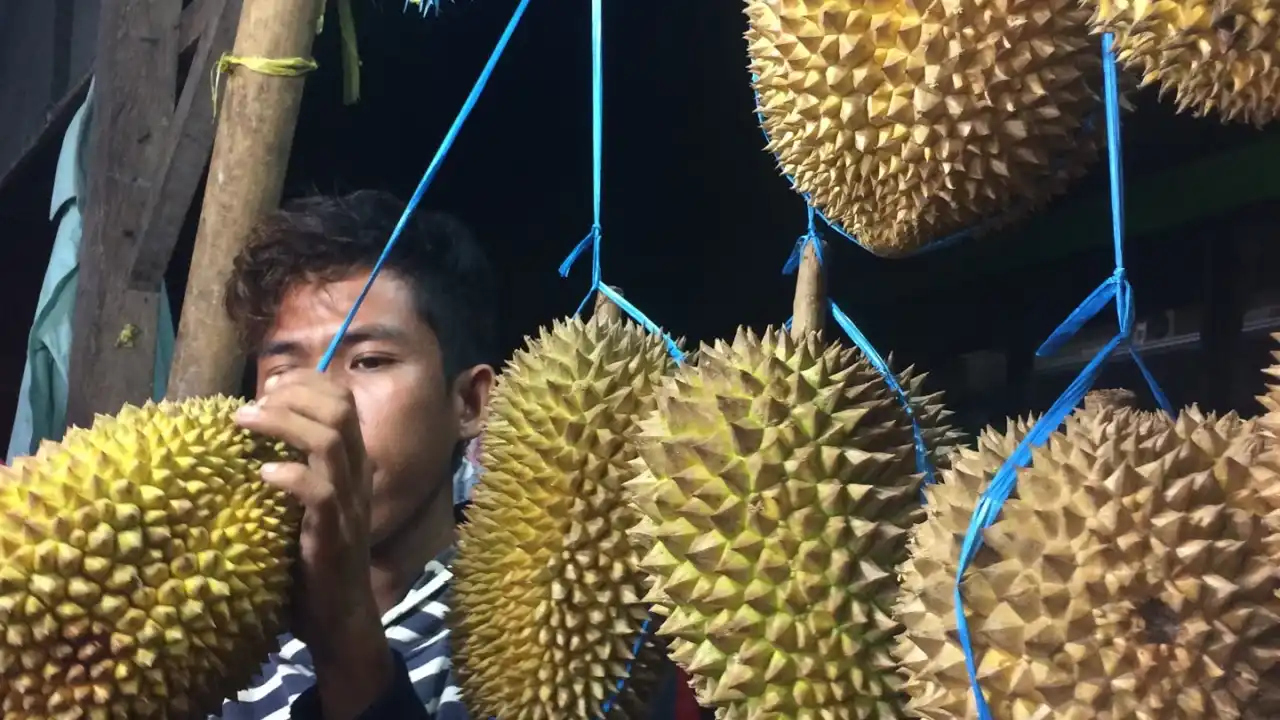 Belah Duren Jogja