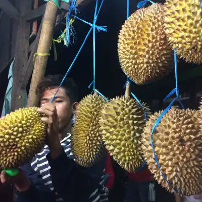 Belah Duren Jogja