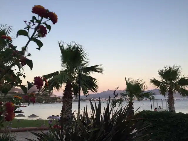 Yasmin Resort Ocenia Restaurant'nin yemek ve ambiyans fotoğrafları 3