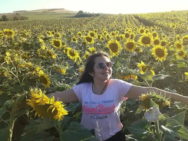 Kabakca Piknik Alani'nin yemek ve ambiyans fotoğrafları 12