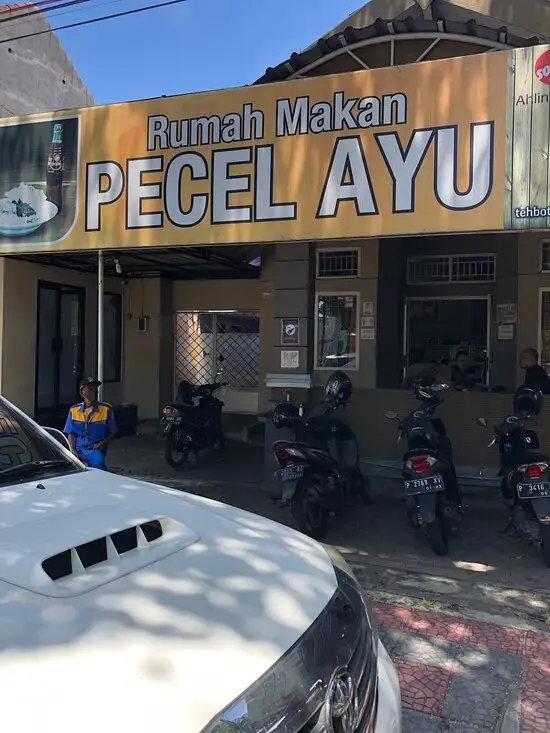 Gambar Makanan Pecel Ayu 8