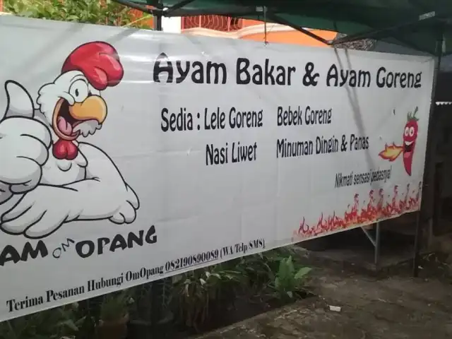 Gambar Makanan Ayam Om Opang 2