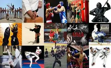 Special Combat Martial Arts