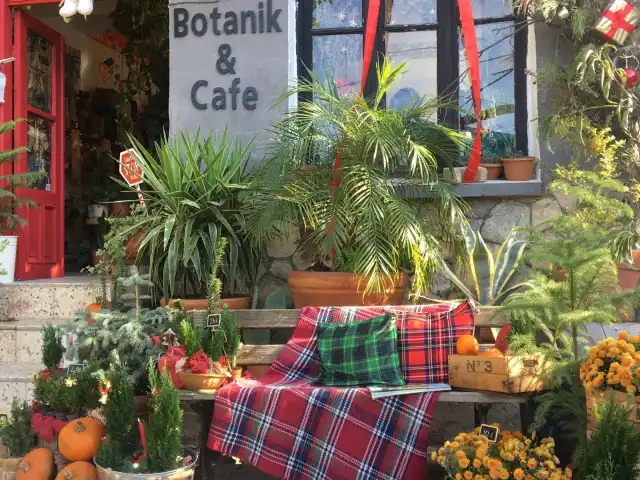 Plantsta Botanik & Cafe'nin yemek ve ambiyans fotoğrafları 6