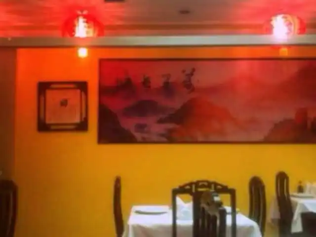 Wuyang Chinese Restaurant'nin yemek ve ambiyans fotoğrafları 30