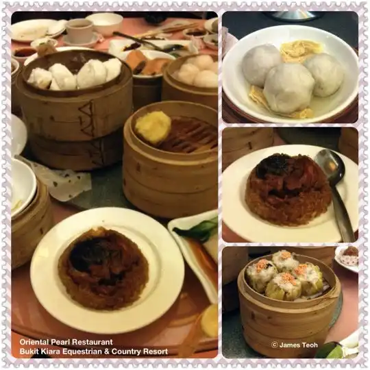 Bukit Kiara Oriental Pearl Restaurant Food Photo 1