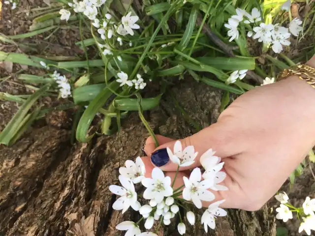 Gizli Bahçe'nin yemek ve ambiyans fotoğrafları 1