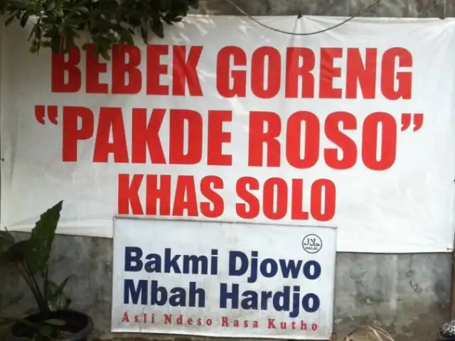 Gambar Makanan Bebek Goreng Pakde Roso 6