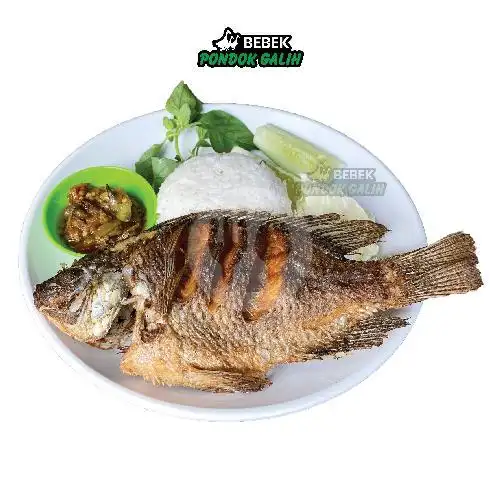 Gambar Makanan Bebek Goreng Pondok Galih, Rembiga 10