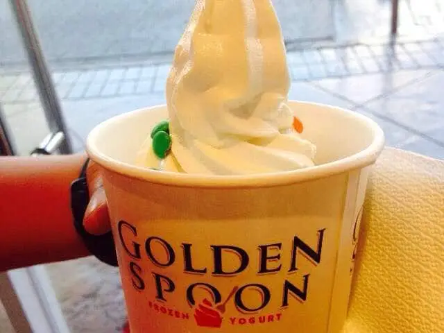 Golden Spoon Food Photo 6