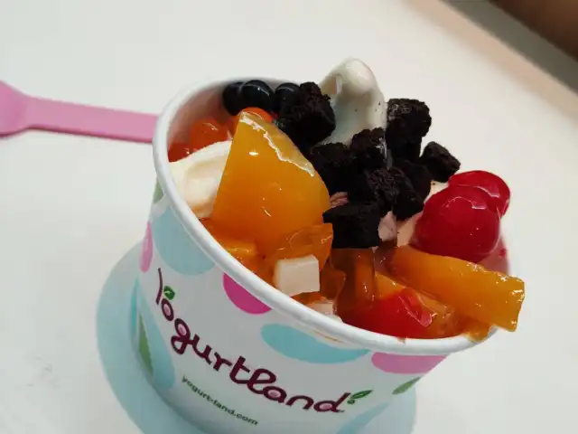 Gambar Makanan Yogurtland 13