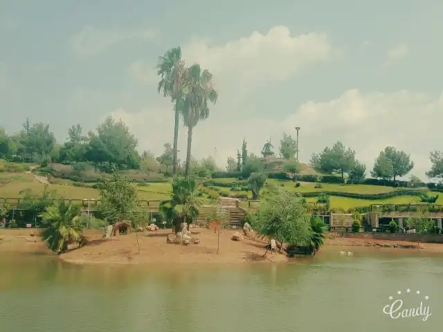 Adana Çoban Dede Kuş Cenneti Cafe piknik alanı'nin yemek ve ambiyans fotoğrafları 2