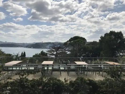 Msa&apos;nin Restoranı'nin yemek ve ambiyans fotoğrafları 4