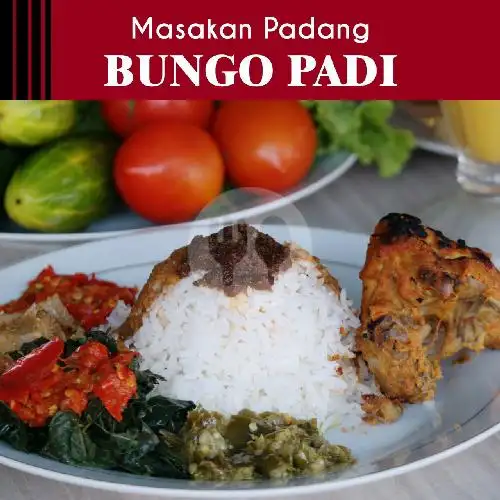 Gambar Makanan Rumah Makan Padang Bungo Padi, Canggu 8