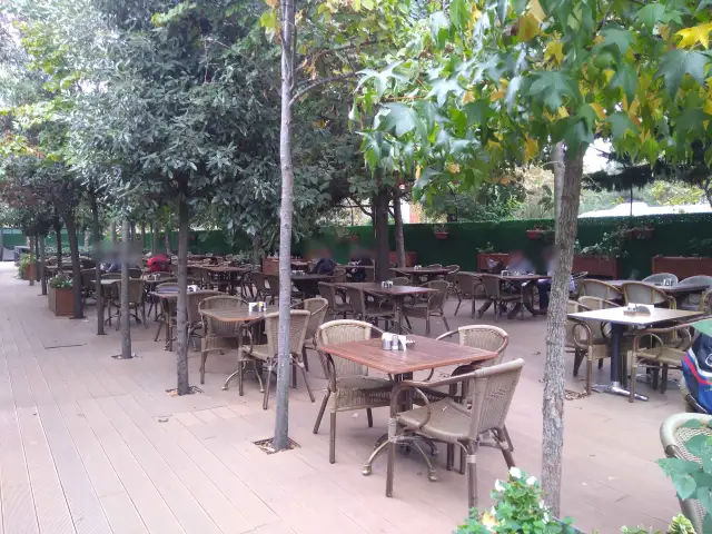 Pardi Cafe & Restaurant'nin yemek ve ambiyans fotoğrafları 4