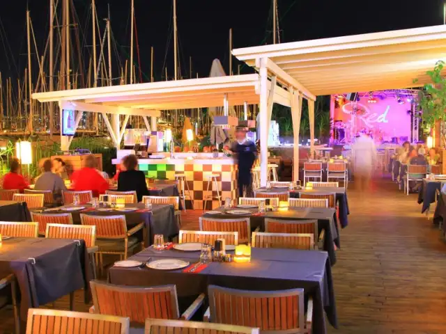Marina Yacht Club Restaurant'nin yemek ve ambiyans fotoğrafları 6