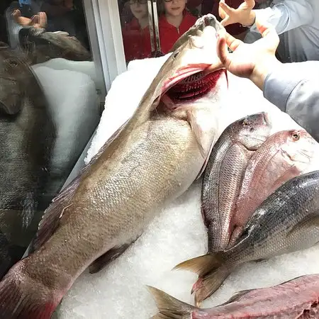 Balıkçı Niyazi'nin yemek ve ambiyans fotoğrafları 67