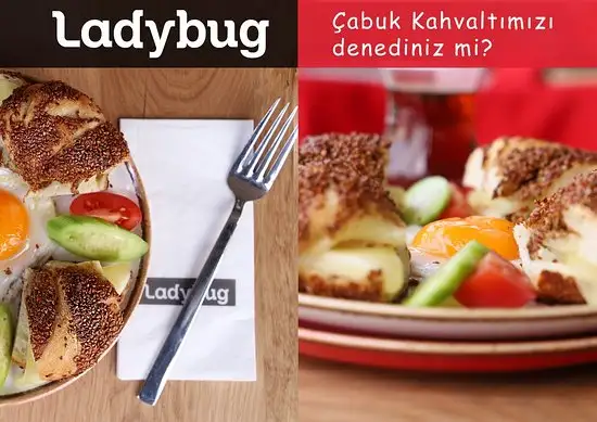Ladybug Cafe'nin yemek ve ambiyans fotoğrafları 11