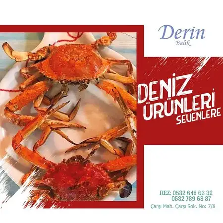 Derin Balık Evi'nin yemek ve ambiyans fotoğrafları 46