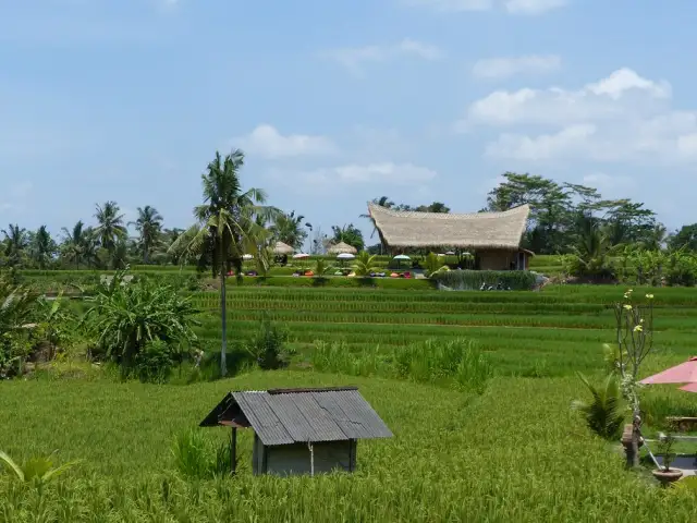 Gambar Makanan Bamboo Kitchen Ubud 11