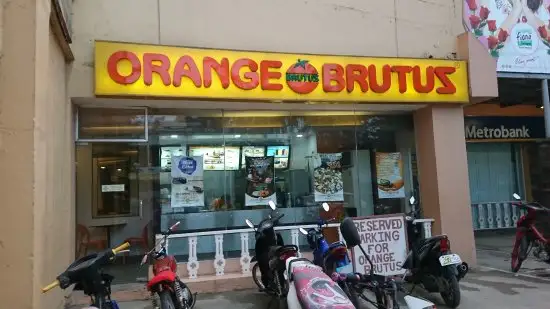 Orange Brutus