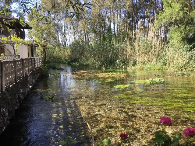 Olive Farm Restaurant'nin yemek ve ambiyans fotoğrafları 11