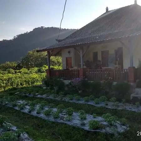 Gambar Makanan Warung Tirta Unda 14