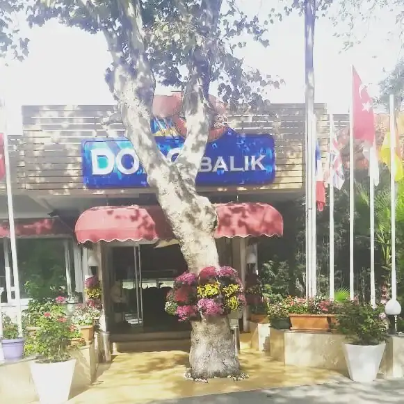 Dodo Balik Restaurant'nin yemek ve ambiyans fotoğrafları 57