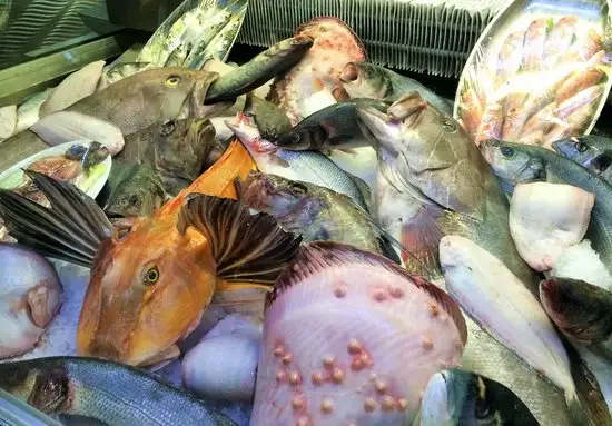 Beluga Fish Gourmet'nin yemek ve ambiyans fotoğrafları 21