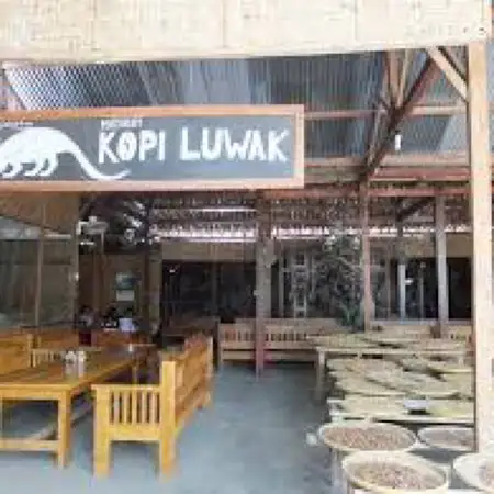 Gambar Makanan Kopi Luwak Mataram 9