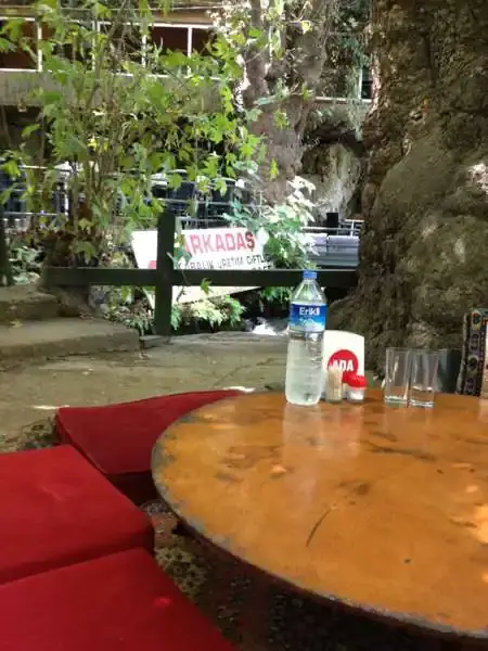 Arkadas Alabalık Restaurant - Cafe'nin yemek ve ambiyans fotoğrafları 6