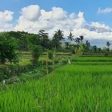 Gambar Makanan Warung Tirta Unda 9