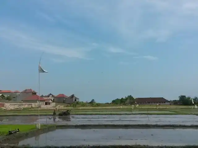 Gambar Makanan Warung Cantik (Seafood Khas Jimbaran) 9