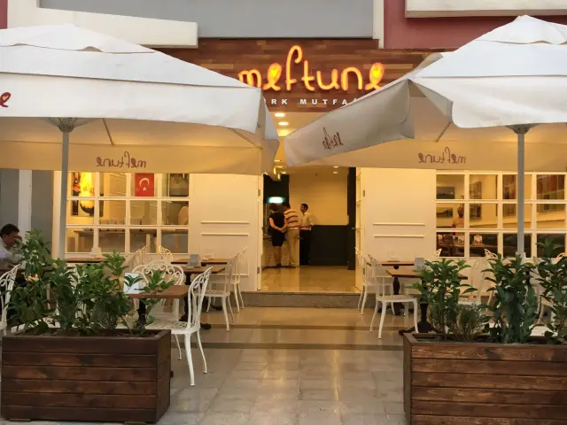 Meftune Turkish Kitchen'nin yemek ve ambiyans fotoğrafları 2