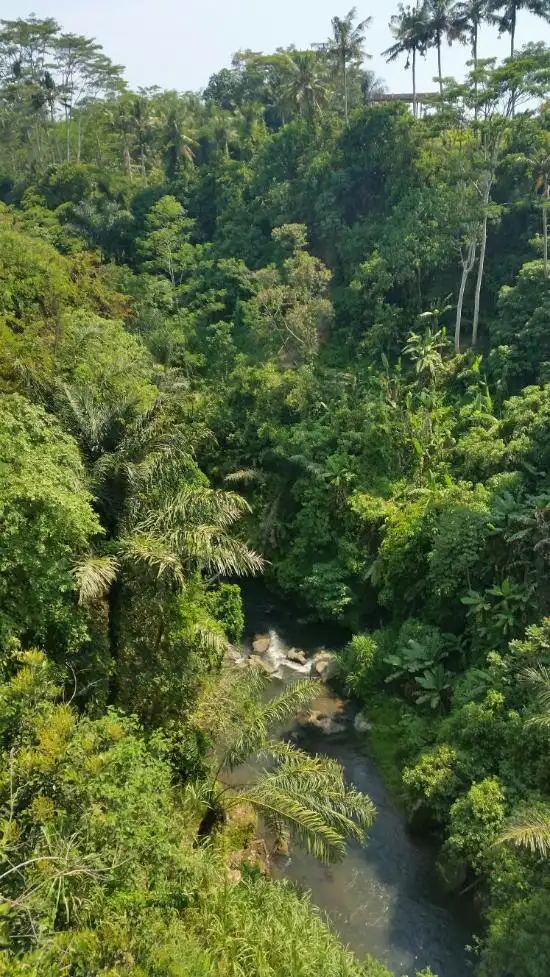 Gambar Makanan Petanu River Restaurant 16