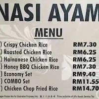 Nasi Ayam - Arena Food Court Food Photo 1