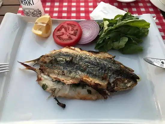 Pinar Restaurant Narcity'nin yemek ve ambiyans fotoğrafları 6