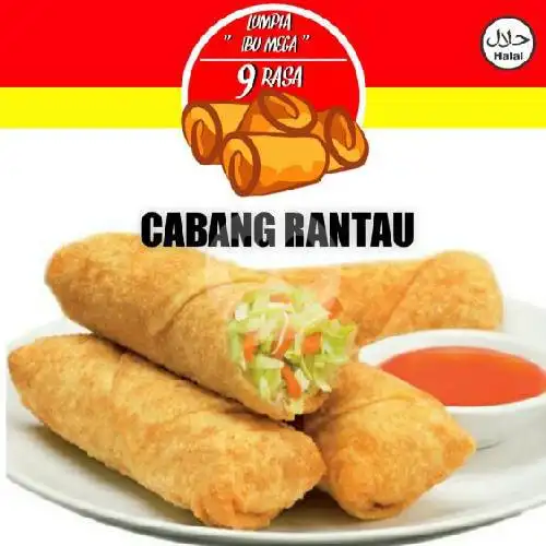 Gambar Makanan Lumpia Spesial Ibu Mega 1