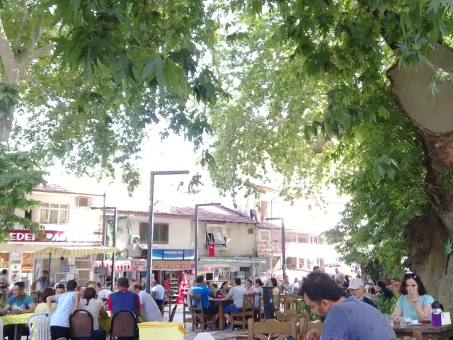 Bu Çınar Cafe'nin yemek ve ambiyans fotoğrafları 2