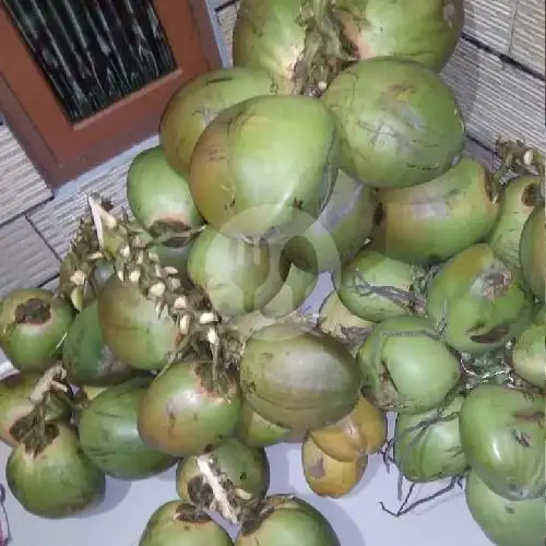 Gambar Makanan Kelapa Muda ,Kelapa Ijo Obat 1