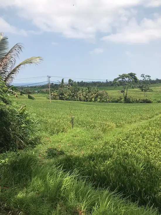 Gambar Makanan Cempaka Belimbing Villas 10