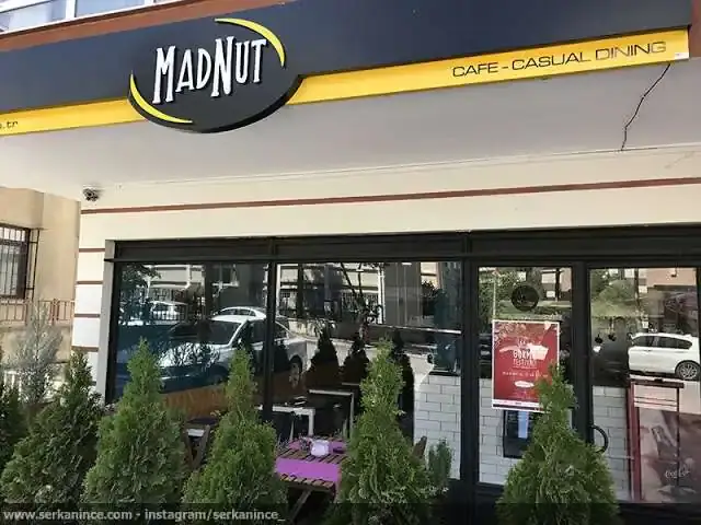 MadNut Cafe & Casual Dining'nin yemek ve ambiyans fotoğrafları 4