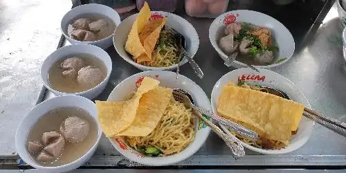 Bakso Taman Bhayangkara, Wiluyo Puspoyudo