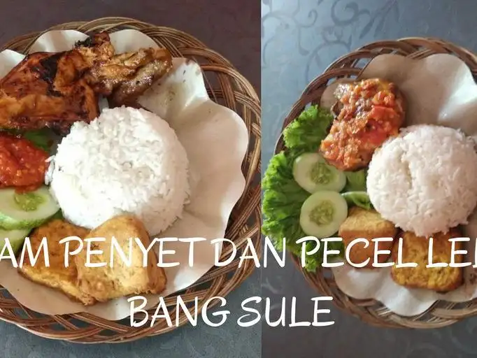 Ayam Penyet dan Pecel Lele Bang Sule, Sumur Batu